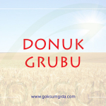 donuk grubu ürünleri, donuk grubu,